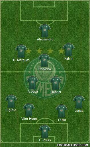 SE Palmeiras Formation 2015