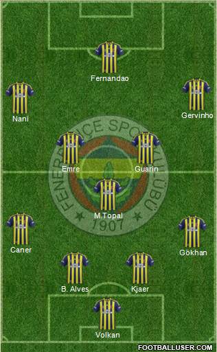 Fenerbahçe SK Formation 2015