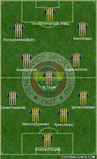 Fenerbahçe SK Formation 2015