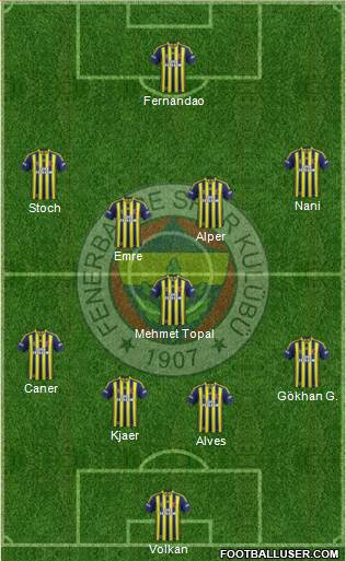 Fenerbahçe SK Formation 2015