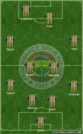 Fenerbahçe SK Formation 2015