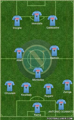 Napoli Formation 2015
