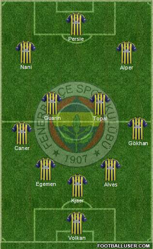 Fenerbahçe SK Formation 2015