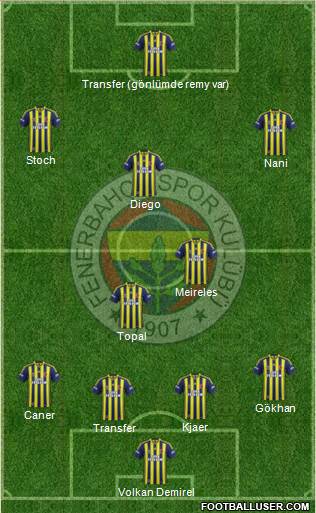 Fenerbahçe SK Formation 2015