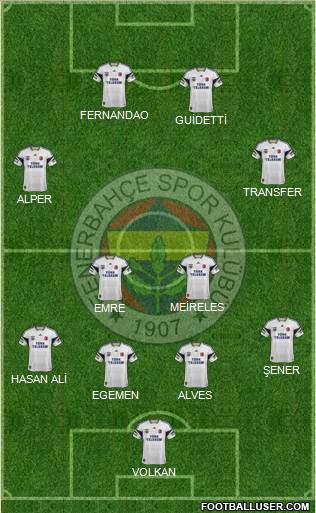 Fenerbahçe SK Formation 2015