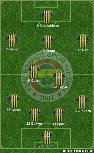 Fenerbahçe SK Formation 2015