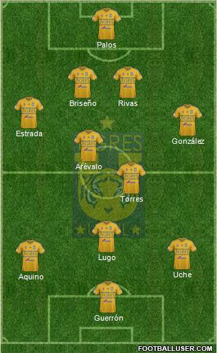 Club Universitario de Nuevo León Formation 2015