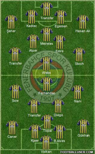 Fenerbahçe SK Formation 2015
