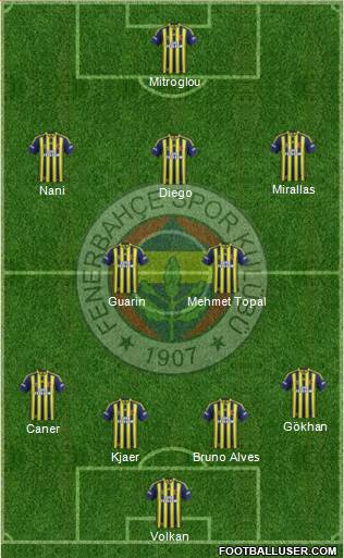 Fenerbahçe SK Formation 2015