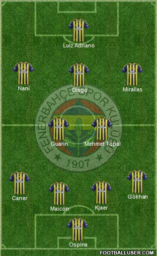 Fenerbahçe SK Formation 2015