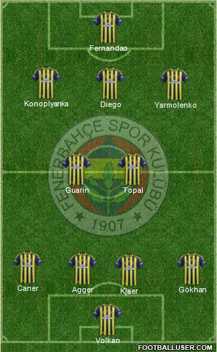 Fenerbahçe SK Formation 2015