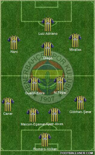 Fenerbahçe SK Formation 2015