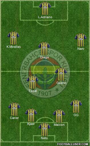 Fenerbahçe SK Formation 2015