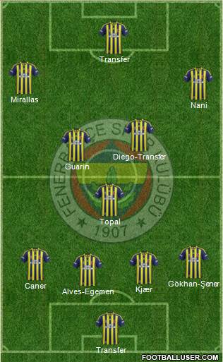 Fenerbahçe SK Formation 2015
