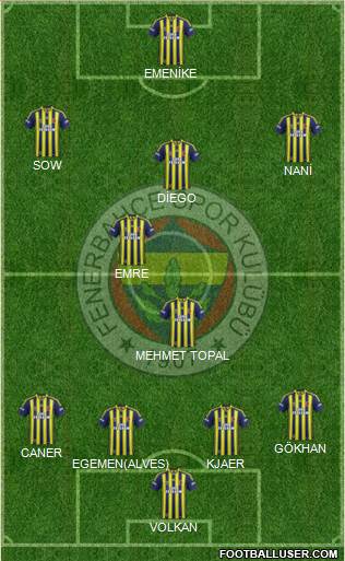 Fenerbahçe SK Formation 2015