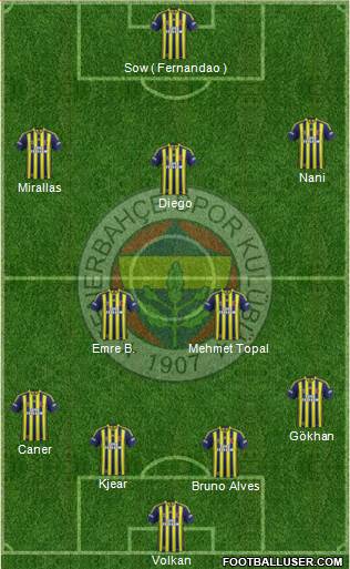 Fenerbahçe SK Formation 2015