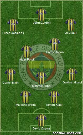Fenerbahçe SK Formation 2015