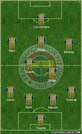 Fenerbahçe SK Formation 2015