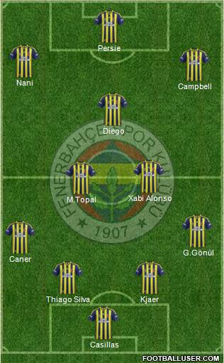 Fenerbahçe SK Formation 2015