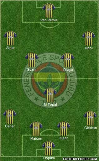 Fenerbahçe SK Formation 2015