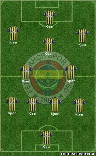 Fenerbahçe SK Formation 2015