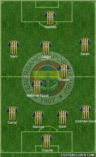 Fenerbahçe SK Formation 2015