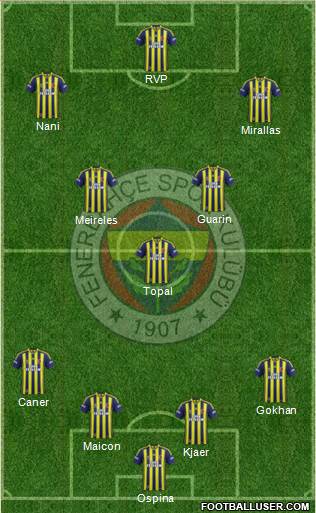 Fenerbahçe SK Formation 2015
