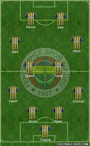 Fenerbahçe SK Formation 2015