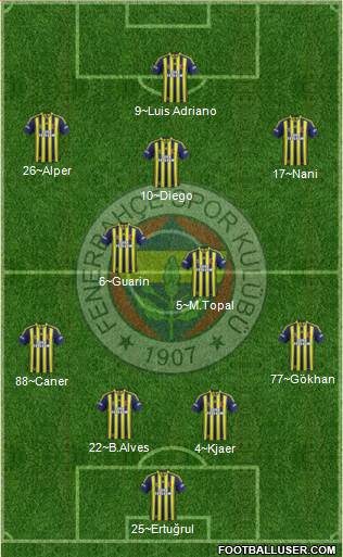 Fenerbahçe SK Formation 2015