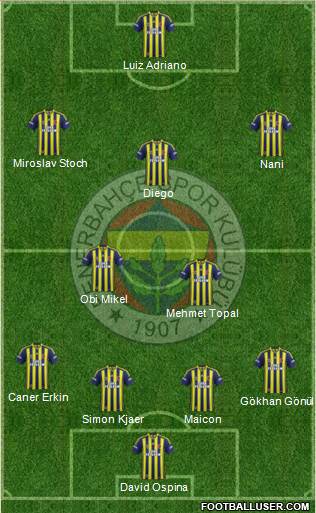 Fenerbahçe SK Formation 2015
