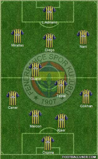 Fenerbahçe SK Formation 2015