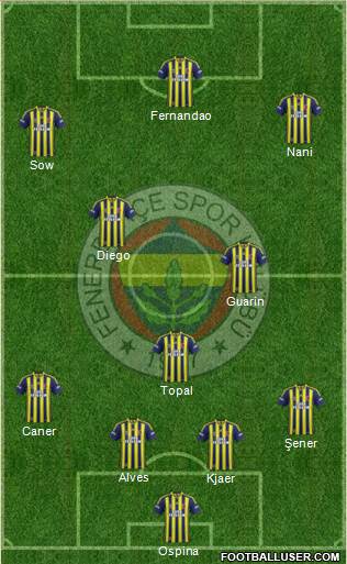 Fenerbahçe SK Formation 2015