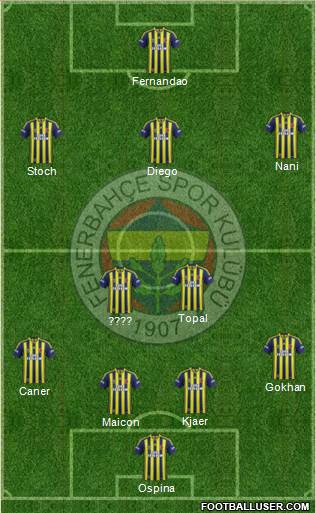 Fenerbahçe SK Formation 2015