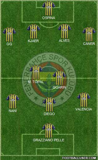 Fenerbahçe SK Formation 2015