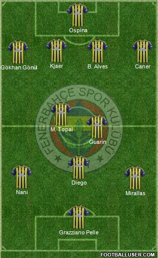 Fenerbahçe SK Formation 2015
