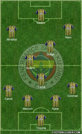 Fenerbahçe SK Formation 2015