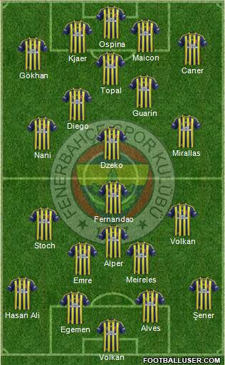Fenerbahçe SK Formation 2015