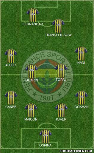 Fenerbahçe SK Formation 2015