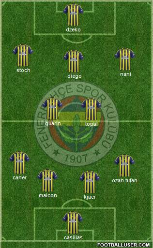 Fenerbahçe SK Formation 2015