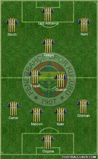 Fenerbahçe SK Formation 2015