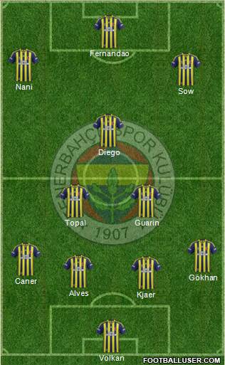 Fenerbahçe SK Formation 2015