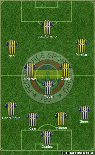 Fenerbahçe SK Formation 2015