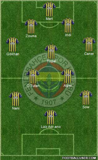 Fenerbahçe SK Formation 2015