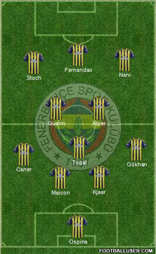 Fenerbahçe SK Formation 2015