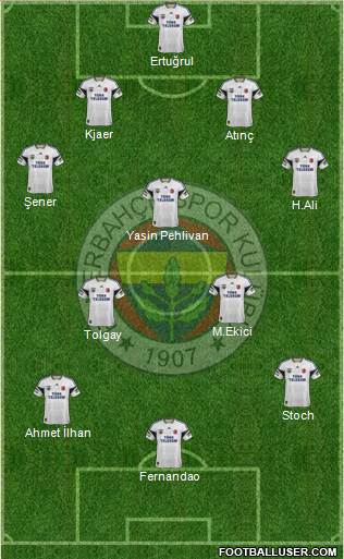 Fenerbahçe SK Formation 2015