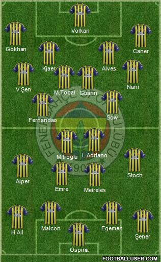 Fenerbahçe SK Formation 2015