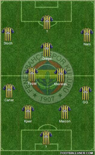 Fenerbahçe SK Formation 2015