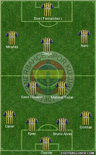 Fenerbahçe SK Formation 2015