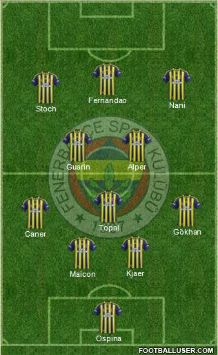 Fenerbahçe SK Formation 2015