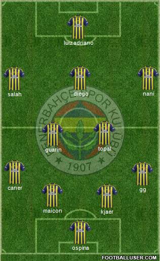 Fenerbahçe SK Formation 2015